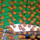 옥동농장 이미지