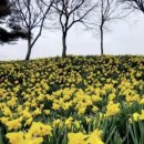 알프스랜드 이미지