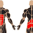 슬림한 바디 이미지