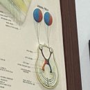 레몬트리안경콘택트 이미지