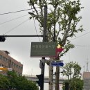 임가네숯불구이식당 이미지