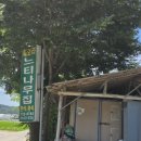 느티나무유치원 | 강원도 원주 칠봉유원지 근처 로컬맛집 매호리 느티나무집