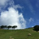 푸름목장 이미지