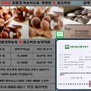 친환경무농약 재배한 생표고버섯 최저가 농원 직접 판매합니다. 이미지