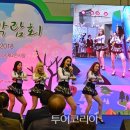 2018 베트남문화관광 축제 이미지