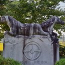 이백면 효기마을 이미지