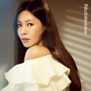 노블레스 스킨 이미지