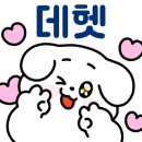 온누리 동물의료센터 이미지