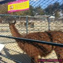 달성공원 이미지