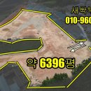 새싹공인중개사사무소 이미지