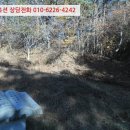 대로3류(연풍리) 네이버블로그