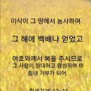 천지미용실 Daum카페