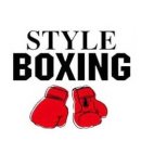 스타일복싱 이미지