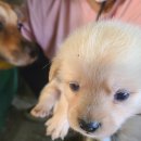 묵동-055 이미지