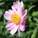 법원중앙외과의원 이미지