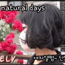 네추럴데이즈 이미지