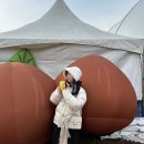군밤이네 | 겨울공주 군밤축제 2026 일정 정리｜직접 다녀온 후기와 주차정보