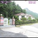 완월동125 이미지