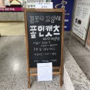 폴인캣츠 이미지