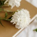 🎗 (訃告) 양효진 부친상🎗 이미지