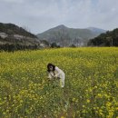 뮤지엄 남해 이미지