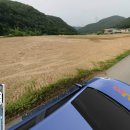 인삼공인중개사사무소 이미지