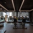 바디어필 이미지