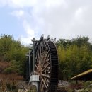 춘길농장 이미지