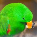 동선농장 이미지