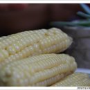 최부자농장 이미지