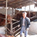 신녕면-화남1리-1