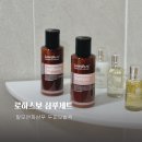 탈모완화샴푸▫로하스보 오지허브덴드러프샴푸 헤어팩 세트 후기