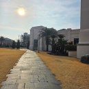 무안국제호텔 | 제주테니스 1시간500kcal 서귀포테니스 클럽 롯데호텔 바모스테니스레슨 버킷리스트 완성 후기