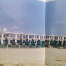 청하중학교 | 청하중학교(김제)23회