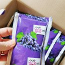 주석 건강원 | 저온착즙♡ 입안에 머금어지는 향 포천 유기농 포도즙 아이들도 대만족 (ft.내돈)