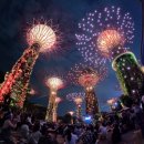 고산슈퍼 | 싱가포르 가든스바이더베이 입장권 예약 슈퍼트리쇼 시간 플라워돔 자유여행 가볼만한곳