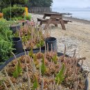 바위섬소도 이미지