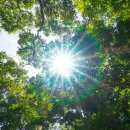신진이불 네이버블로그