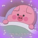 포메이트