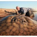 가오리PC 이미지