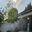 창신온천 | [대전] 온천집 (대전 맛집 추천/대전역 근처 맛집 추천)