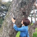 운봉읍 삼산마을 이미지