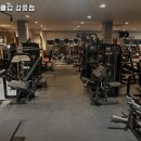 DM헬스클럽 이미지