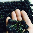 농사이야기 농담 이미지