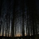 경남체육고등학교 기숙사 이미지