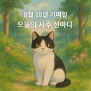 8월 18일 기미일 운세 이미지