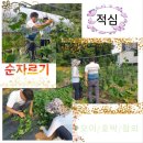 주경농장 이미지