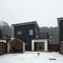 다올마트 | 강원도 애견펜션 횡성 다올펜션 폭설주의보에도 재밌었던 겨울방문 후기