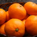 제주머무리 이미지