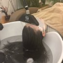 묘곡초등학교 | [공지] 강동구 두피케어 전문 헤드스파 단비헤드스파앤컬러